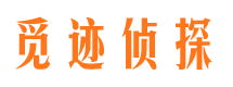 桐城外遇调查取证